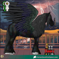 Horse Color:Midnight Black 