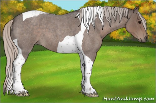 Horse Color:Silver Blue Roan Tobiano 