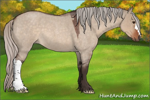 Horse Color:Silver Brown Roan Dun 