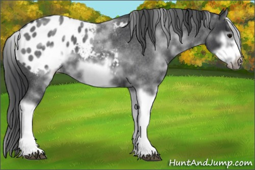 Horse Color:White Spotted Blue Roan Splash Frame Blanket