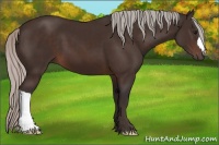 Horse Color:Silver Brown 
