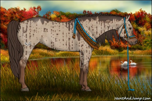 Horse Color:Liver Red Dun Roan Brindle