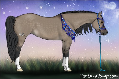 Horse Color:Brown Dun 
