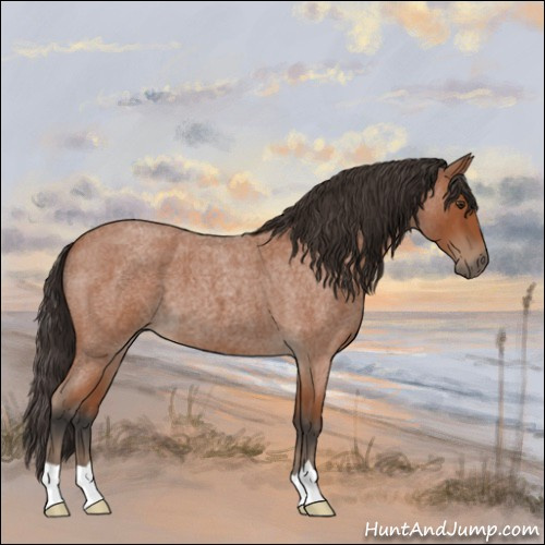 Horse Color:Bay Roan