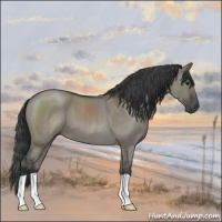 Horse Color:Grullo Roan 