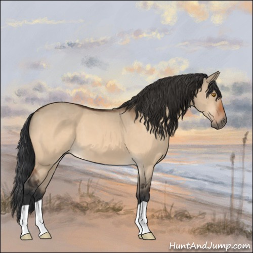 Horse Color:Bay Dun 
