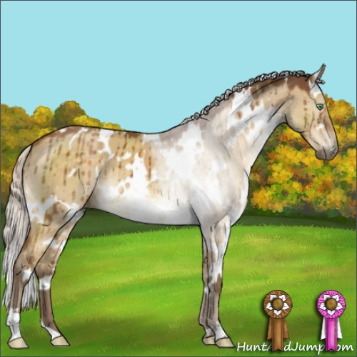 Horse Color:White Spotted Silver Buckskin Dun Mushroom Brindle