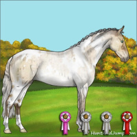 Horse Color:White Spotted Silver Buckskin Dun Mushroom Brindle 