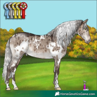 Horse Color:White Spotted Silver Brown Dun Mushroom Brindle 