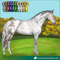 Horse Color:White Spotted Silver Brown Dun Mushroom 
