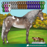 Horse Color:White Spotted Silver Brown Dun Mushroom 