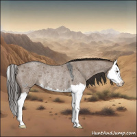 Horse Color:Liver Red Dun Roan Splash Rabicano 