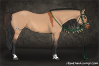 Horse Color:Bay Roan Dun 