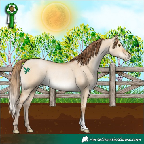 Horse Color:Brown Pearl Dun Rabicano