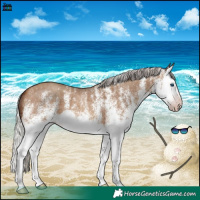 Horse Color:Gray White Spotted Silver Sable Champagne Splash 