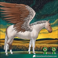 Horse Color:Silver Brown Roan Dun Tobiano Rabicano