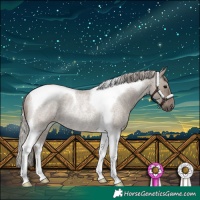 Horse Color:Silver Grullo Roan Tobiano Rabicano 