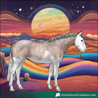 Horse Color:Silver Brown Roan Sabino Splash Rabicano