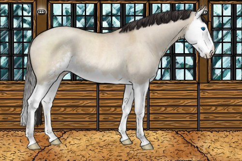 Horse Color:Sable Champagne Roan Dun Sabino Splash Rabicano 