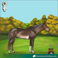 Horse Color:Liver Chestnut Mushroom Tobiano