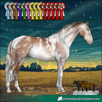 Horse Color:Gray White Spotted Silver Sable Champagne Tobiano Rabicano