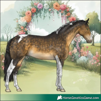 Horse Color:White Spotted Buckskin Tobiano 