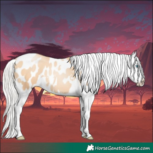 Horse Color:Silver Classic Champagne Pearl Appaloosa 