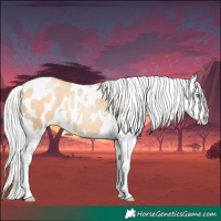 Horse Color:Silver Classic Champagne Pearl Appaloosa 