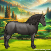 Horse Color:Smoky Black 
