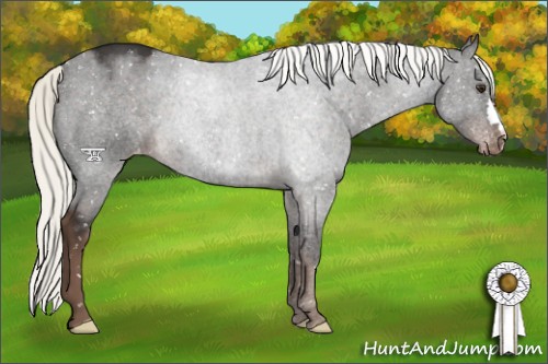 Horse Color:Liver Chestnut Mushroom Snowflake Varnish 