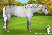 Horse Color:Liver Chestnut Mushroom Snowflake Varnish 