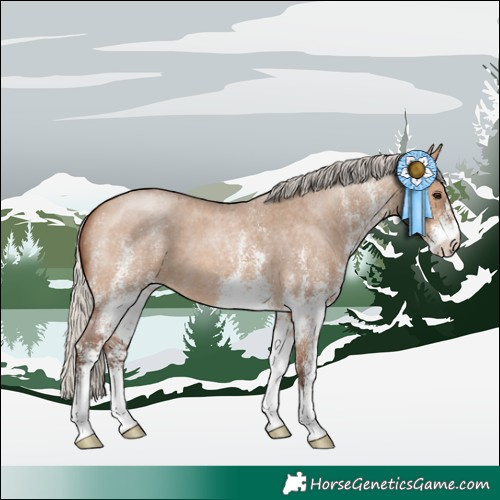 Horse Color:White Spotted Silver Bay Roan Dun