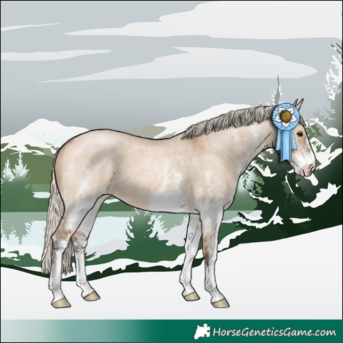 Horse Color:White Spotted Silver Bay Roan Dun 