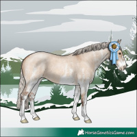 Horse Color:White Spotted Silver Bay Roan Dun 
