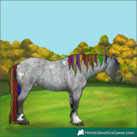 Horse Color:Painted Midnight Brown Chinchilla Ice Roan Tobiano 