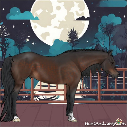 Horse Color:Brown Sabino