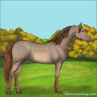 Horse Color:Red Dun 