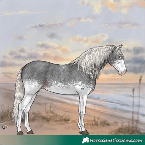 Horse Color:White Spotted Liver Red Roan Mushroom 