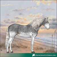 Horse Color:White Spotted Liver Red Roan Mushroom 