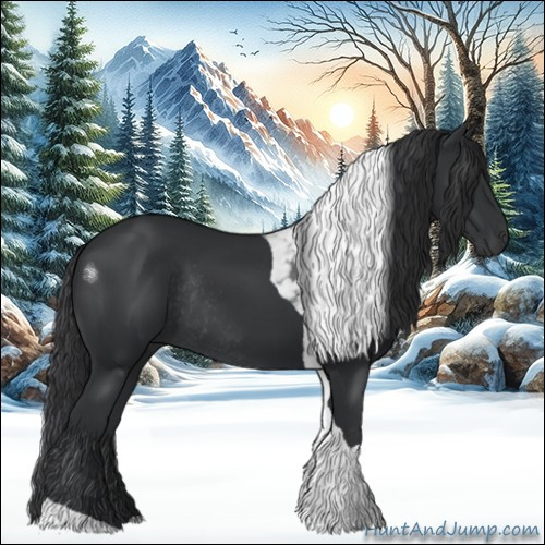 Horse Color:Black Tobiano Rabicano 