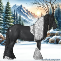 Horse Color:Black Tobiano Rabicano
