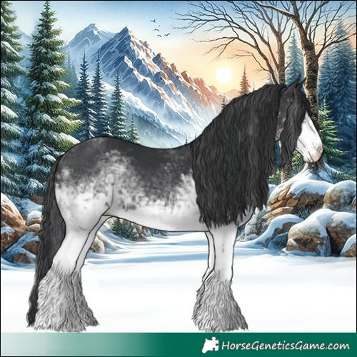 Horse Color:White Spotted Black Tobiano Rabicano