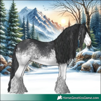 Horse Color:White Spotted Black Tobiano Rabicano