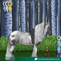 Horse Color:Brown Mushroom Tobiano Rabicano