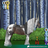 Horse Color:Brown Mushroom Tobiano Rabicano 