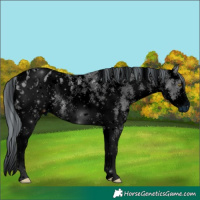 Horse Color:ERROR: UNKNOWN ANOMALY