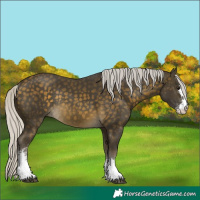 Horse Color:Silver Buckskin Sabino Rabicano 