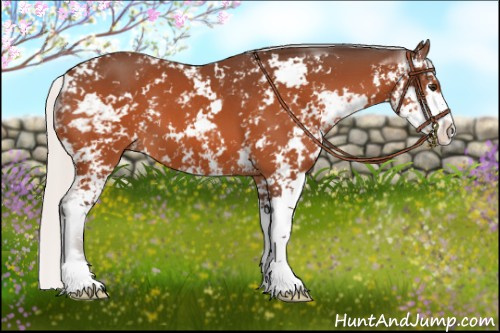 Horse Color:Silver Brown Sabino 