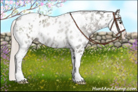 Horse Color:Silver Black Sabino Appaloosa