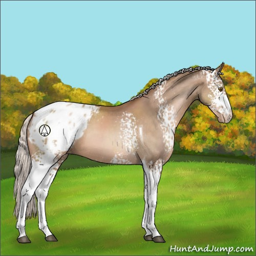 Horse Color:White Spotted Silver Brown Pearl Tobiano Appaloosa 